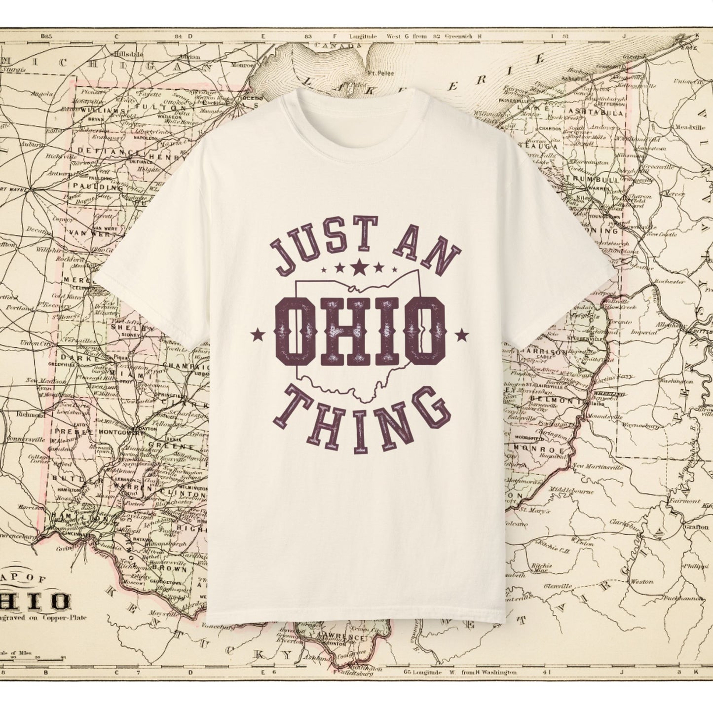 Just an Ohio Thing T-Shirt, Ohio State Pride Tee, Vintage Ohio Shirt, Buckeye State Apparel, Unique Ohio Souvenir Gift