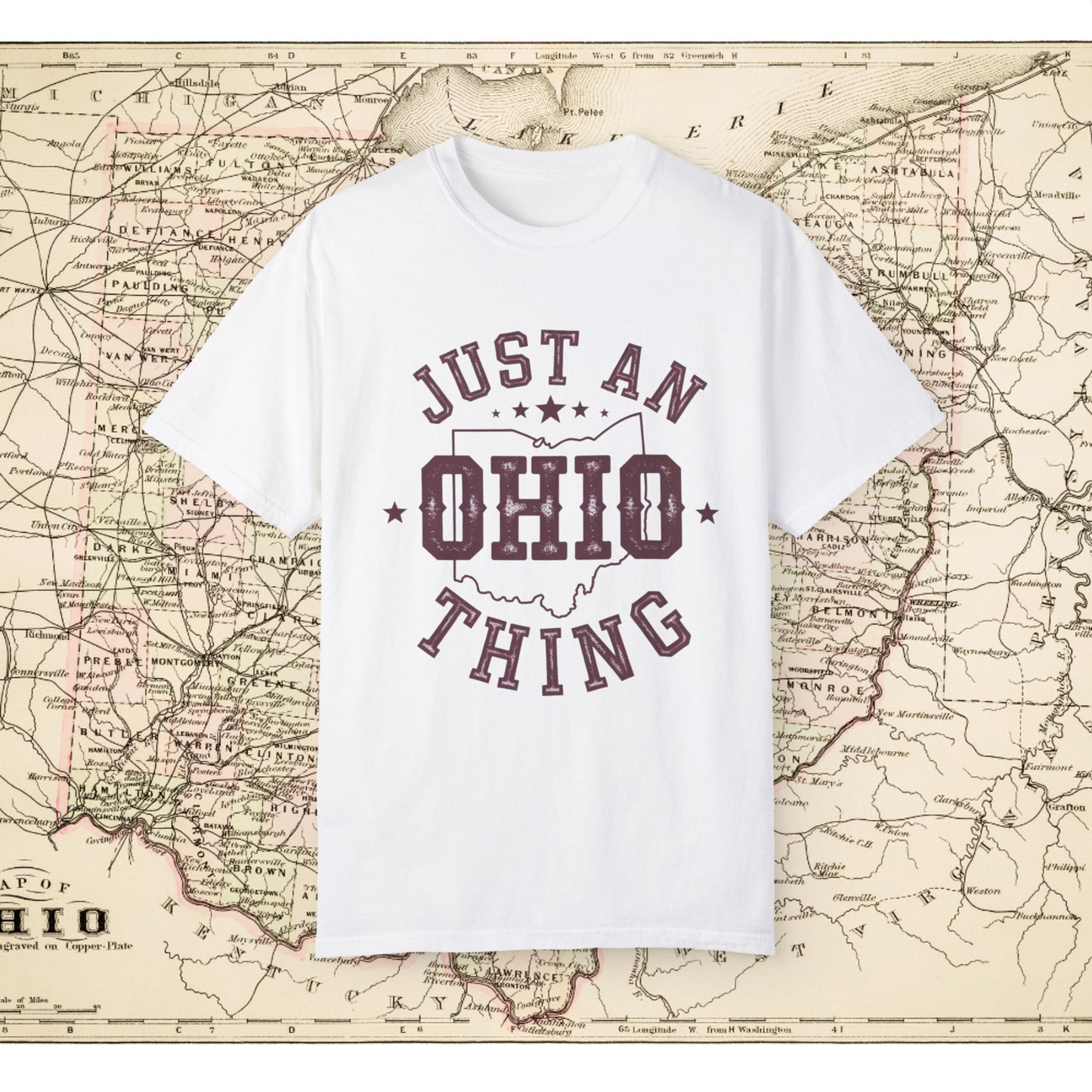 Just an Ohio Thing T-Shirt, Ohio State Pride Tee, Vintage Ohio Shirt, Buckeye State Apparel, Unique Ohio Souvenir Gift