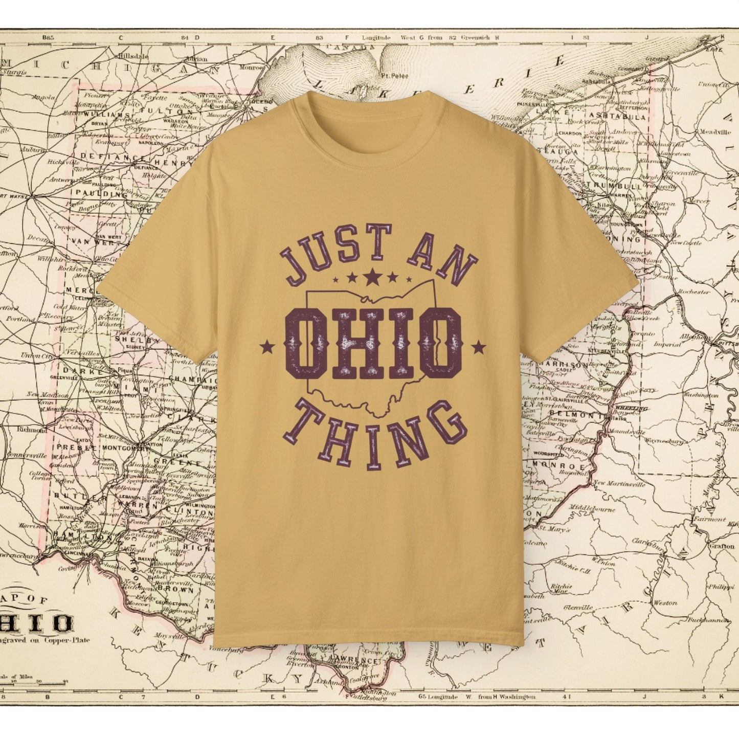 Just an Ohio Thing T-Shirt, Ohio State Pride Tee, Vintage Ohio Shirt, Buckeye State Apparel, Unique Ohio Souvenir Gift