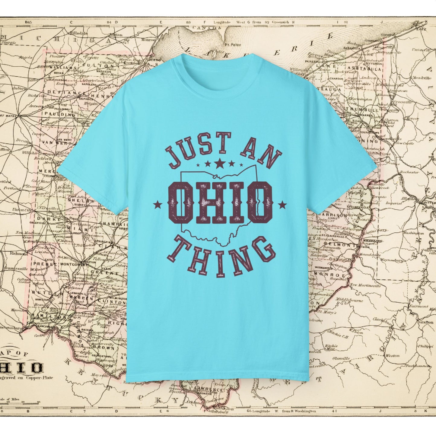 Just an Ohio Thing T-Shirt, Ohio State Pride Tee, Vintage Ohio Shirt, Buckeye State Apparel, Unique Ohio Souvenir Gift