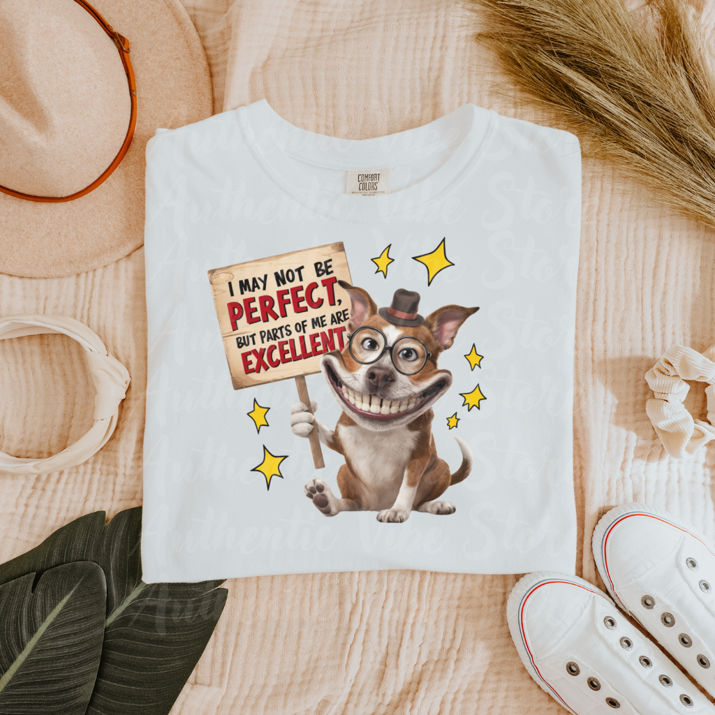 Funny Dog T-Shirt, Quirky Graphic Tee, Humor T-Shirt Gift, Perfect for Dog Lovers, Unique Dog Lover Gift, Fun Statement Shirt