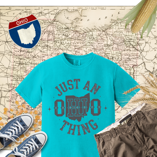 Just an Ohio Thing T-Shirt, Ohio State Pride Shirt, Ohio Lover Gift, Unique Ohio Apparel, Ohio State Souvenir, Ohio Enthusiast Tee